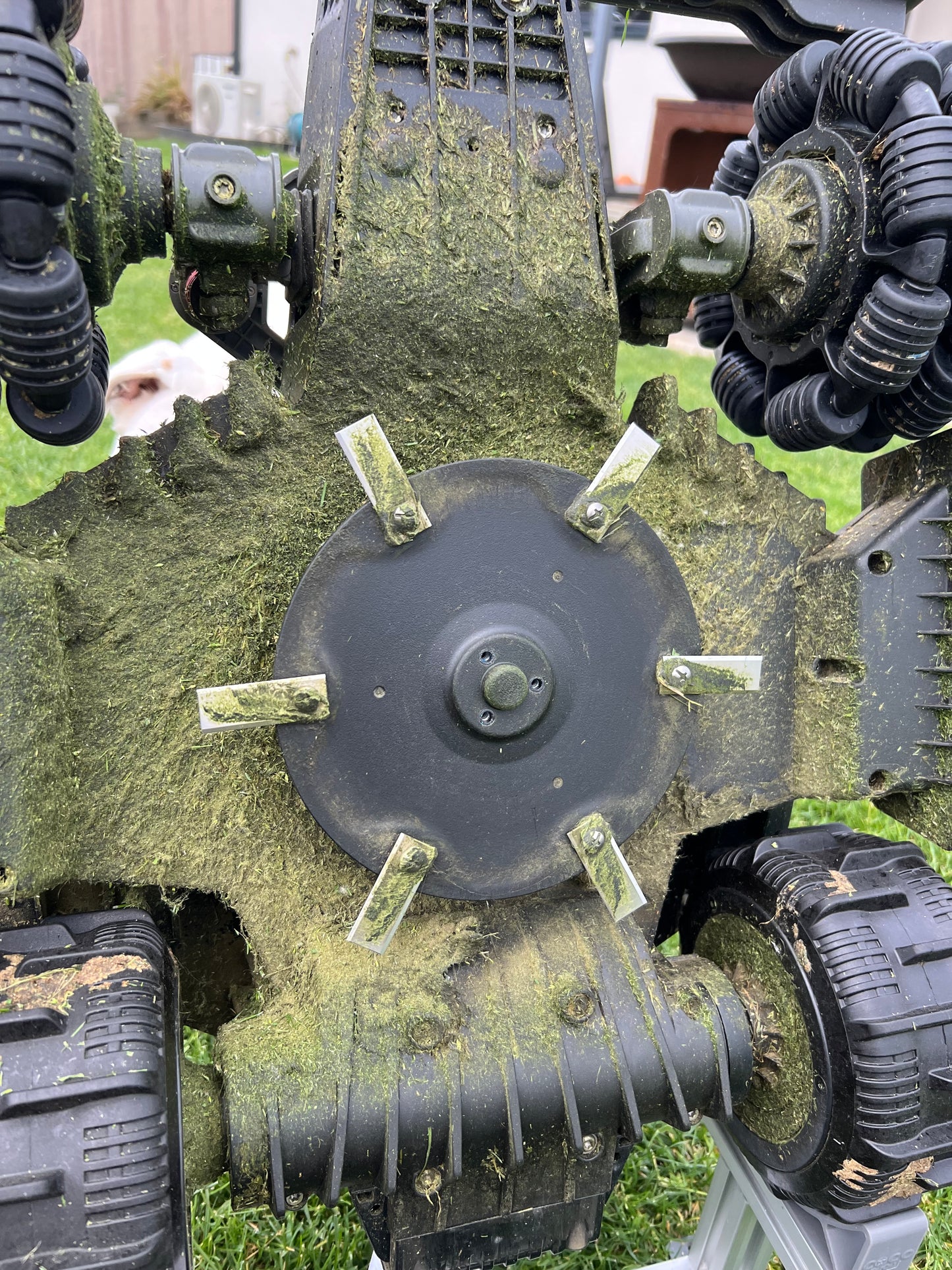 Lame de Coupe 44.5 mm – Compatible Luba Mini - Yuka Mini